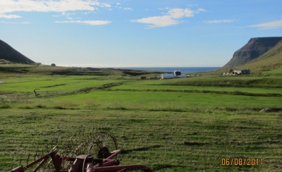 B&aelig;r, S&uacute;gandaf.